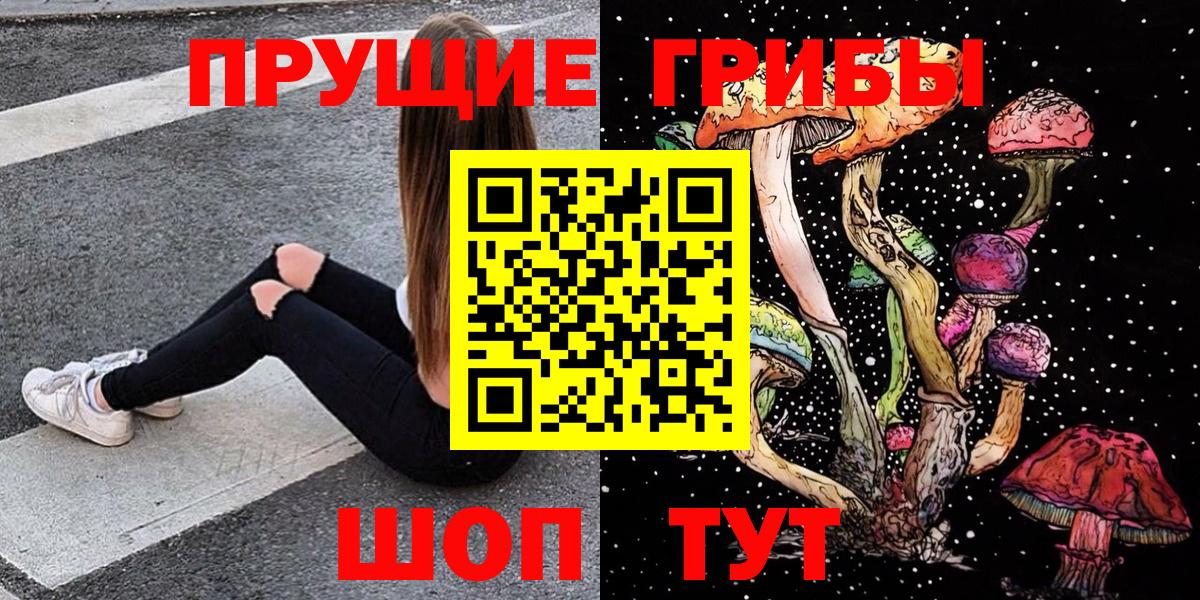 Звенигород  Псилоцибиновые грибы прущие грибы  Вход с VPN  Галлюциногенные грибы Psilocybine cubensis 